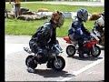 mini motorcycle racing