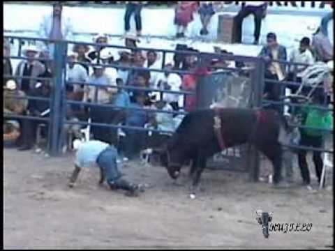JARIPEO EN MICHOACAN