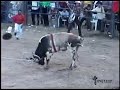 JARIPEO EN MICHOACAN JARIPEO EN MICHOACAN