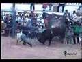 JARIPEO EN MICHOACAN