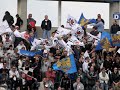 UDINESE - NAPOLI gli ULTRAS UDINESE - NAPOLI gli ULTRAS