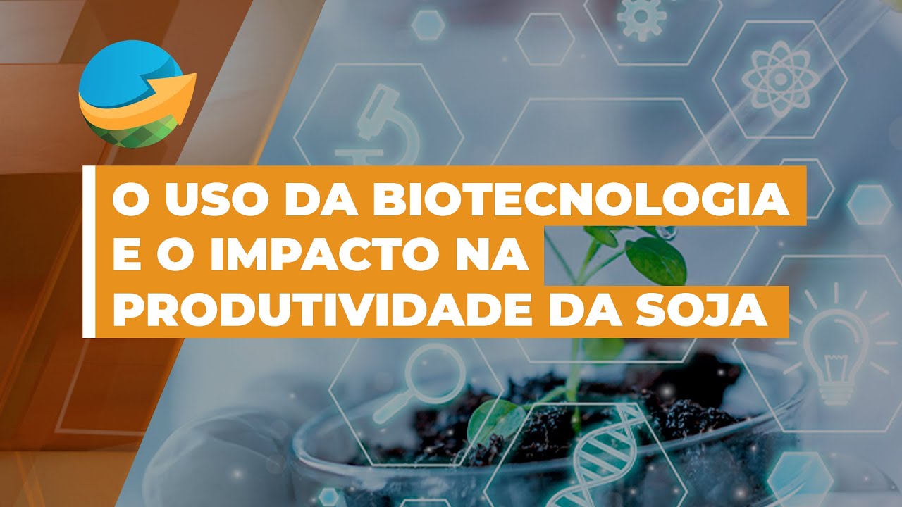 Uso de biotecnologia impactou a produtividade da soja brasileira e novas pesquisas vão influenci...