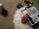 pressies from Skylar2
