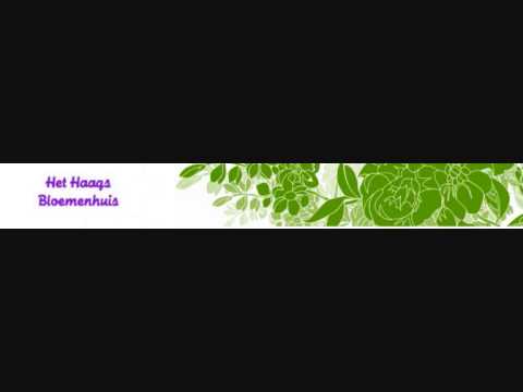 Tip 29 door Het Haags Bloemenhuis. Commercial House & Garden Plantenvoeding Radio 10