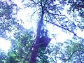 zipline crazy