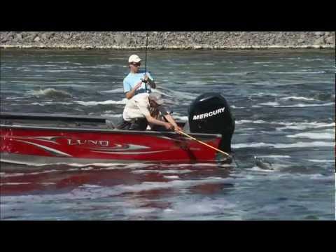 2012 Angling Edge show 9 segment 2 Spinner Rigging Cats_Horg�szat vide�k