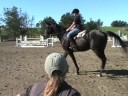 Petaluma Hunter Jumper Horse Training and Riding Lessons Petaluma Hunter Jumper Horse Training and Riding Lessons