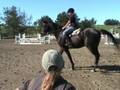 videos de Petaluma Hunter Jumper Horse Training and Riding Lessons