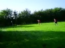 dhfc vs blc classic dead ball..literally!! dhfc vs blc classic dead ball..literally!!