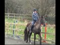 Wildwoods riding centre