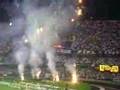 Gavi�es da Fiel