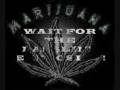 videos de Richie Spice - Marijuana (Shag Productionz Remix)