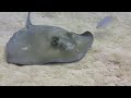 Dive Provo - Turks & Caicos Islands 2