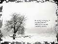 DIZ - ME M�E