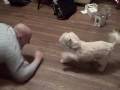 videos de Anju is still viscious