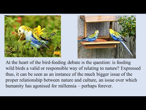 <p>Feeding the Birds: Why is Australia different?</p>
 video thumbnail