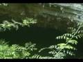 China: Guangxi Forestry Development & Conservation Project