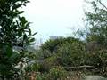 videos de CIMG0660.AVI