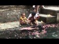 18 Bali final