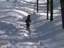 Candanchu Riders - Glisseboardshop.com