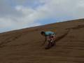 videos de nacimiento sandpoint