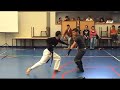 ESPR @ Pinheiriadas 2008 - Demonstra��o de Artes Marciais