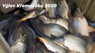 Výlov Křemačáku 2020