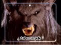 As� es su Jefe?