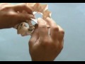 Estrellas de papel Estrellas de papel