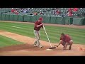 Baum Stadium:  Game Day