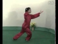 Tai chi 48 form complete demonstration
