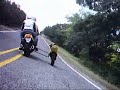 PugglePod 9000 chase PugglePod 9000 chase