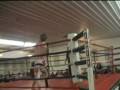 videos de louie2