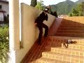 La descente d\