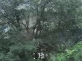 ??????????-7 ??????????-7