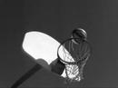 Full Court and a 1/2 Shot