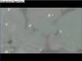 AMV bleach (ichigo)vs ameliorer