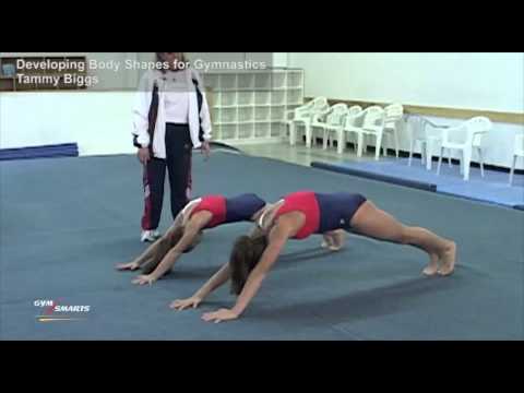 how to obtain a gymnast body