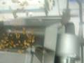 Tunel Chorito 2