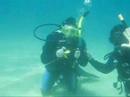 entertainment-pirate-ship-jolly-roger.html