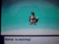 shiny staravia evolves