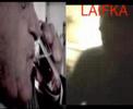 Feri vs. Hasi? - intr�k laif