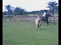 Palo-Cortesia Videos G.F.G- Cel 3132897854.3GP