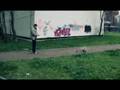 videos de trex-500_AlekseyNezdayminov(landing_on_the_wall)