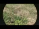 Bird Watching in St. Lucia, Caribbean, by Oasis ...