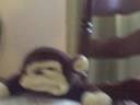Interview Monkey