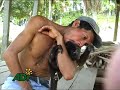crianza de animales salvajes en circos sudamericanos