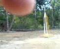 digao/djavan vs paulo henrique/negao