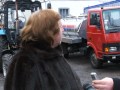 Прибуткові корови