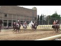 Equus Catalonia XXI Edició ( 2009 )